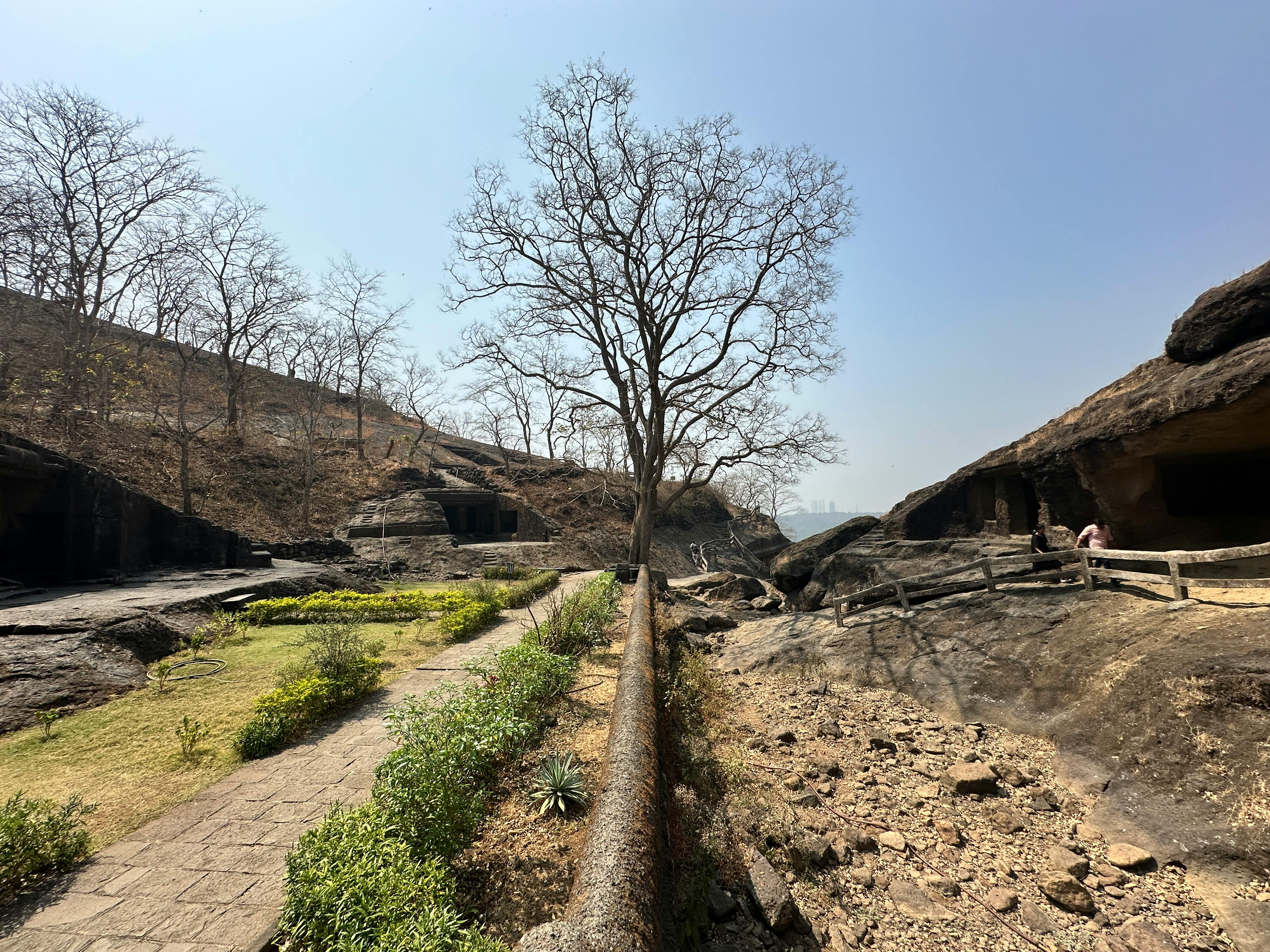 Exploring Sanjay Gandhi National Park: Mumbai’s Green Oasis