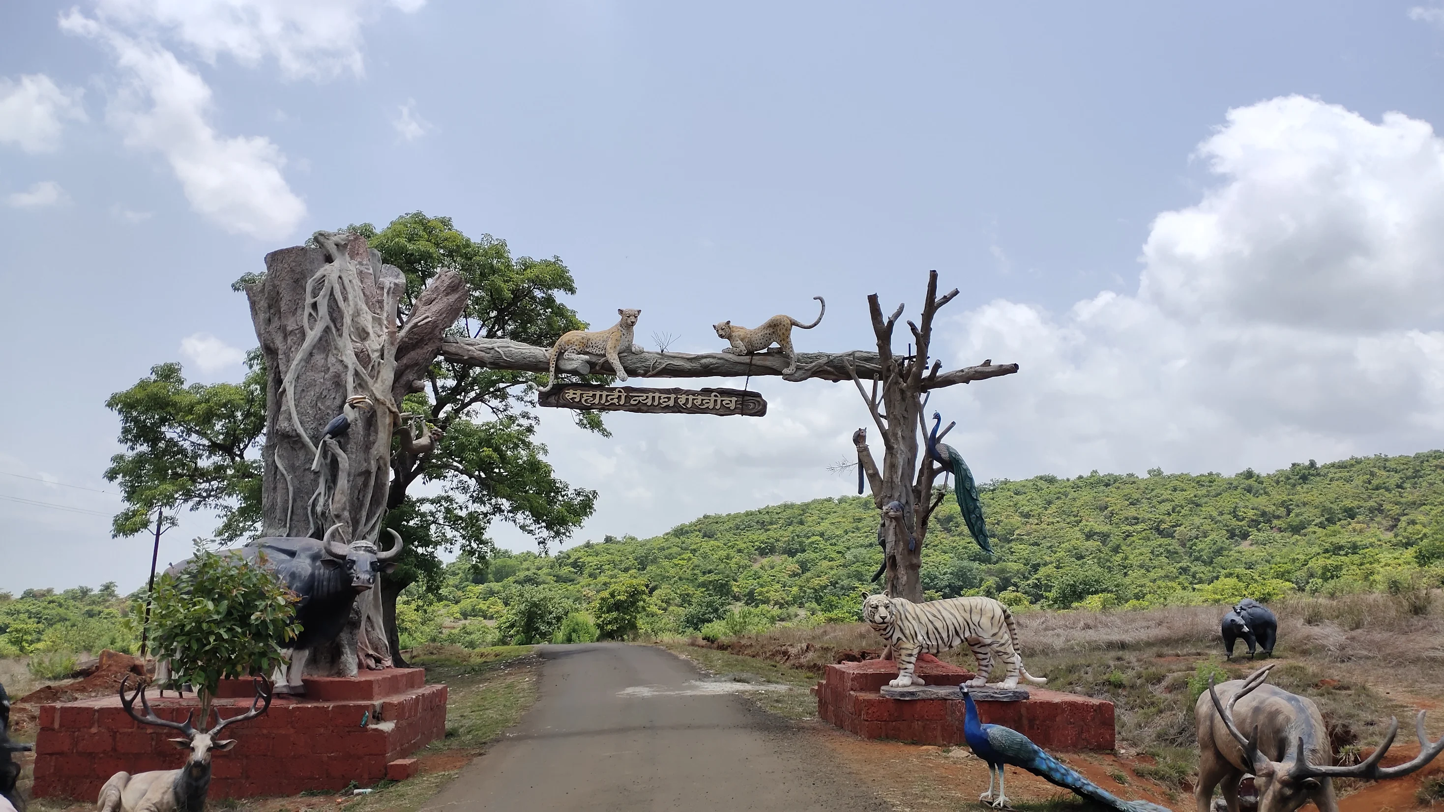chandoli-national-park-tiger-reserve