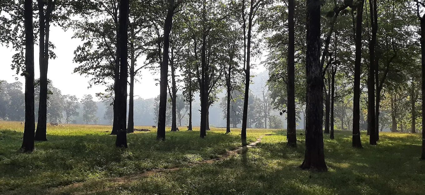 Pack Your Bags! Gugamal National Park in Melghat Awaits 1 gugamal national park