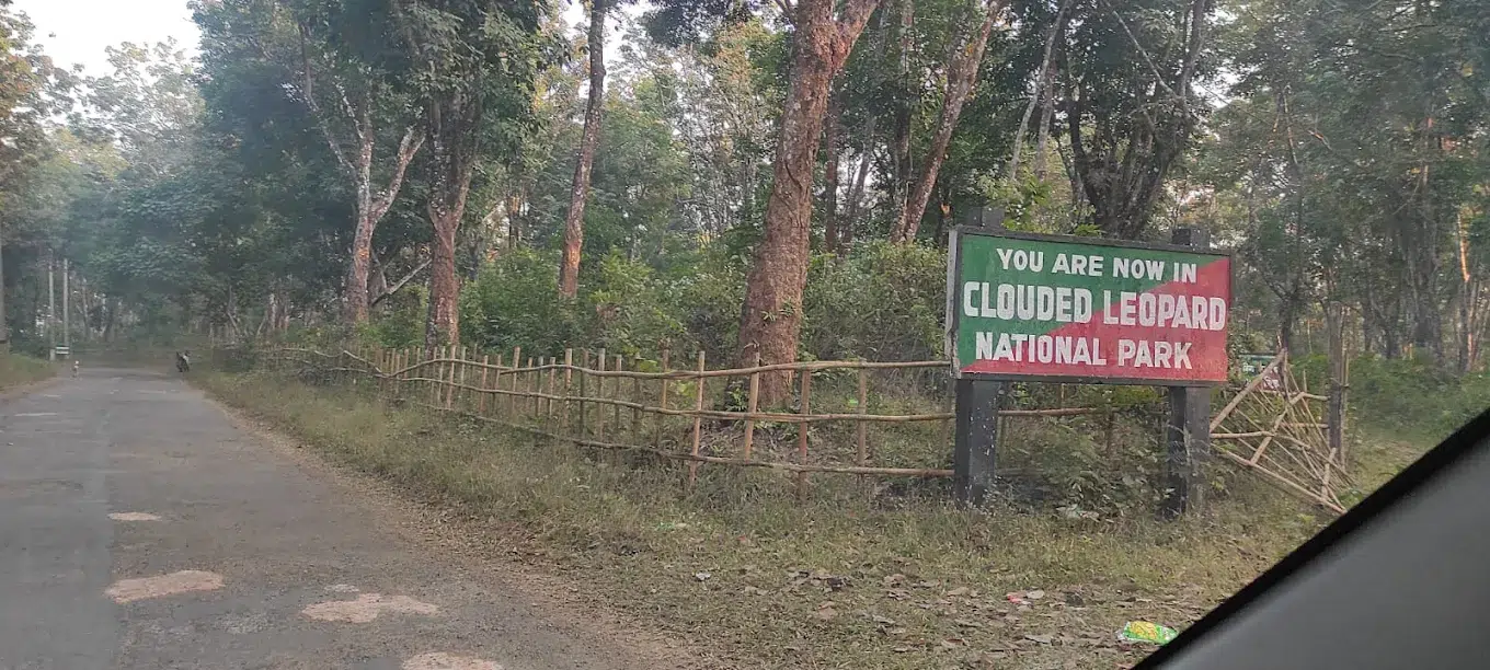 clouded leopard national park tripura
